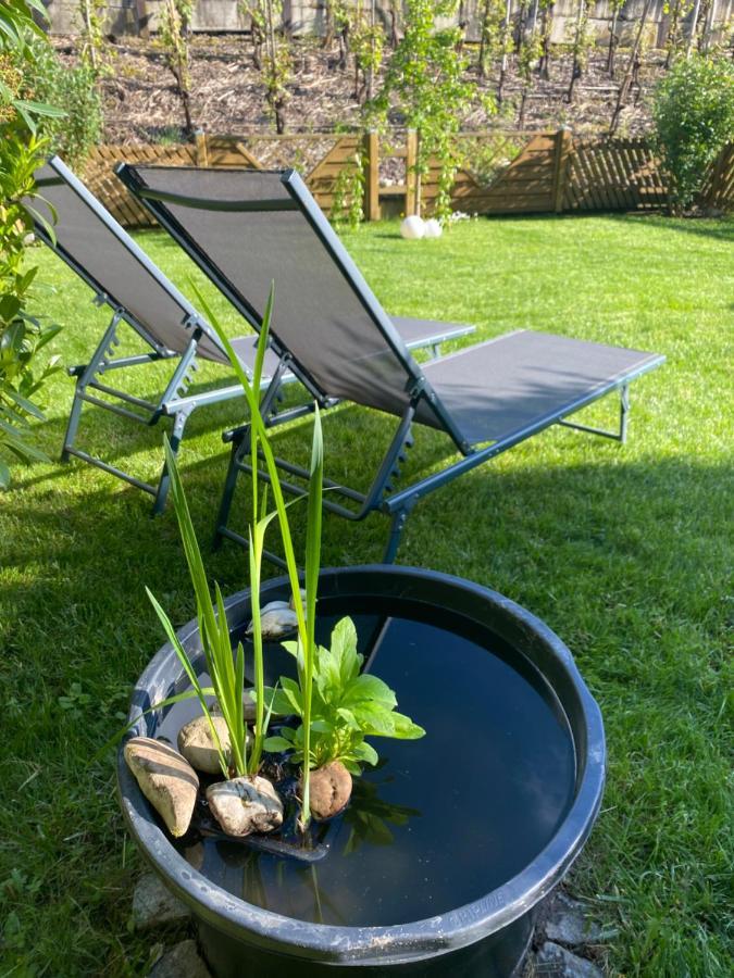 Ferienwohnung Ambiente II Und III Klotten Ngoại thất bức ảnh