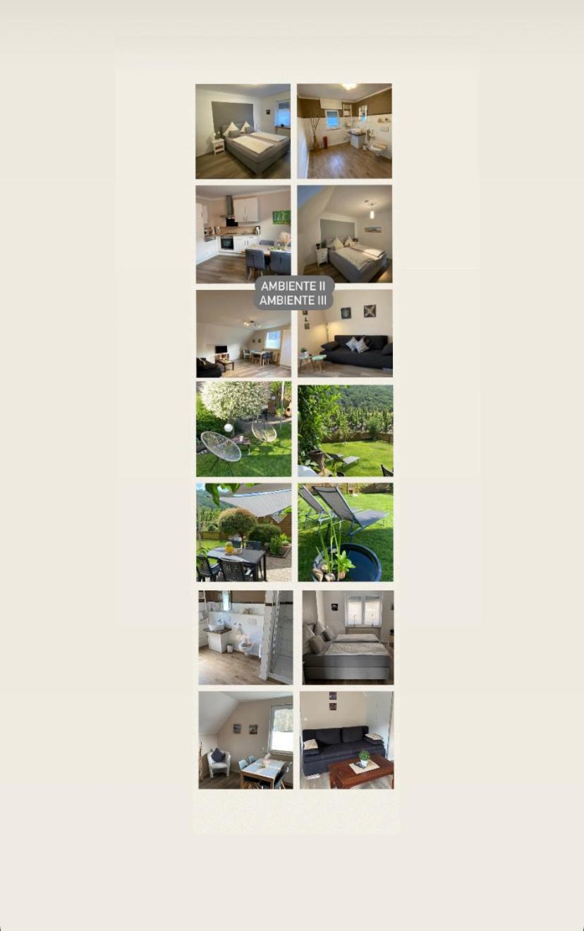 Ferienwohnung Ambiente II Und III Klotten Ngoại thất bức ảnh